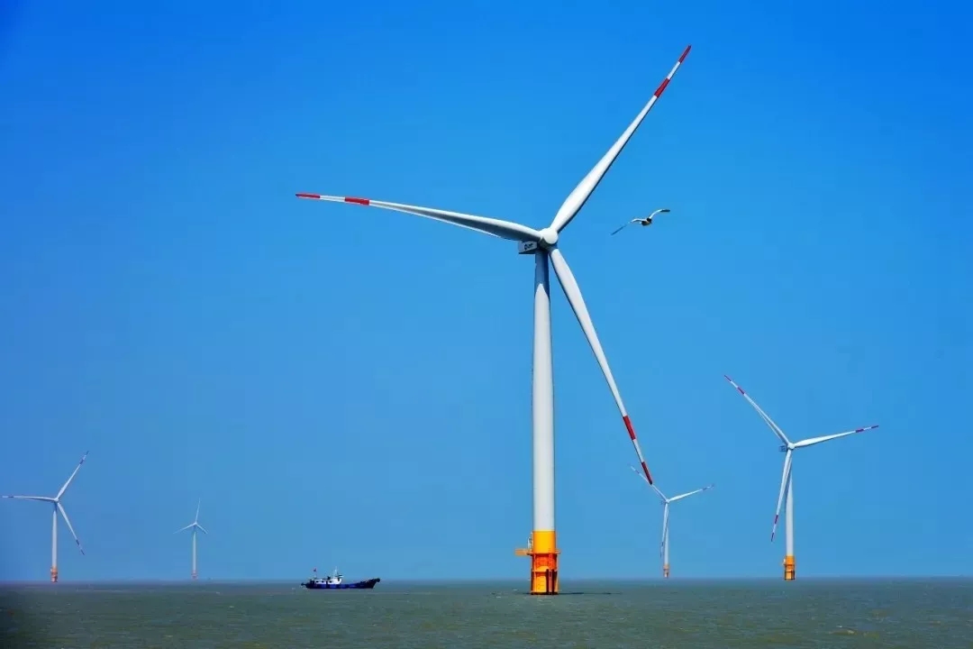 1575436115195665.jpg 640.webp (3).jpg